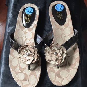 Brown classic Coach sandals